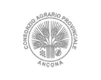 consorzio agricolo provinciale ancona